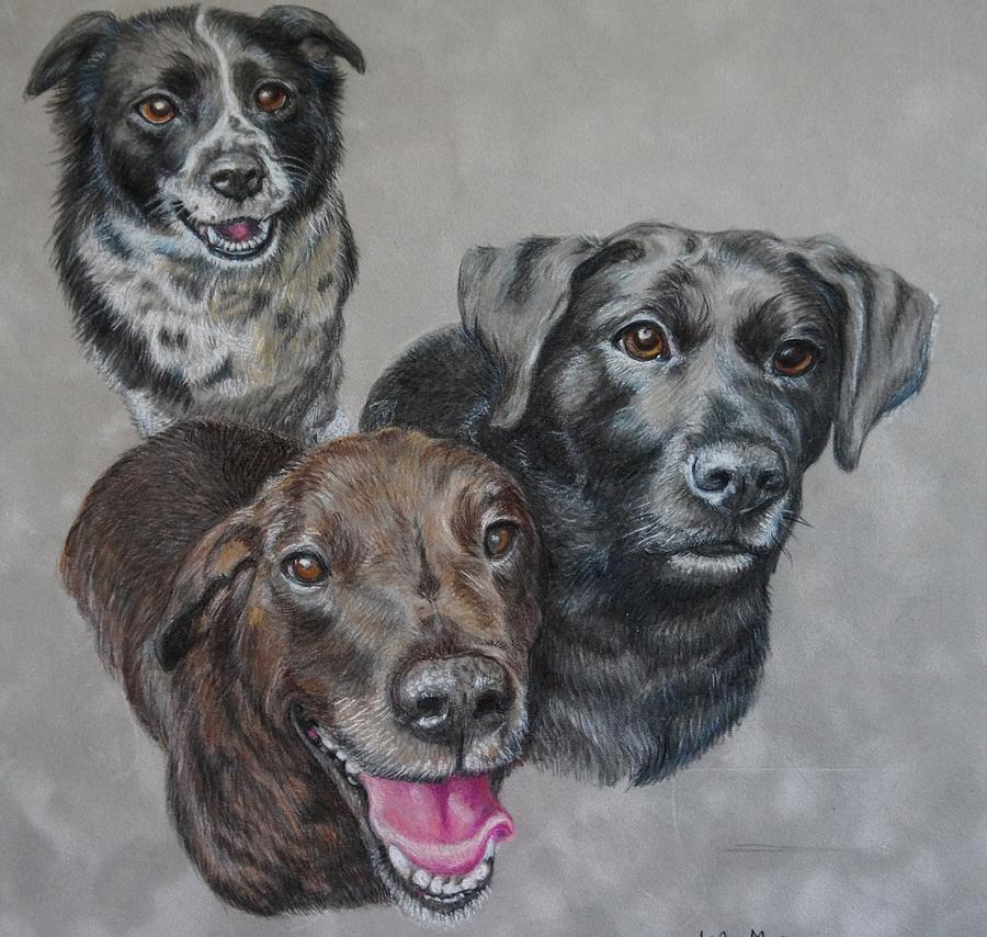 Dog Drawing - My three by JoAnn Morgan Smith
