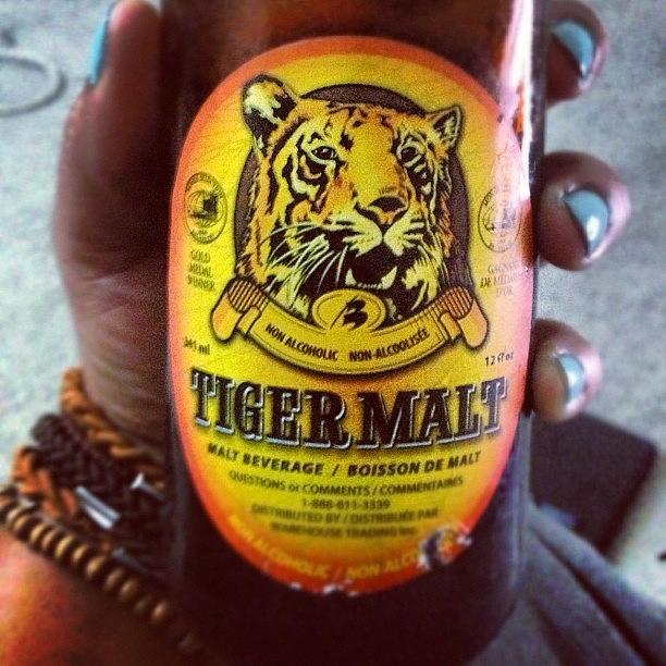 Love Photograph - My Tiger Malt Is Soo Good!! Thankyou by Shereese Anderson
