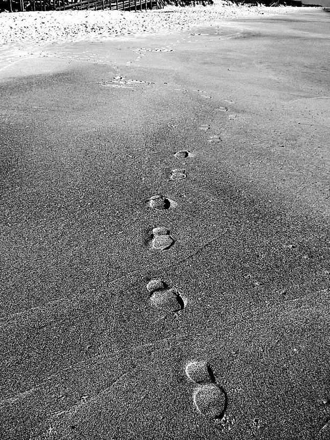 My trail to Playalinda Beach in Black and White  Photograph by Christopher Mercer