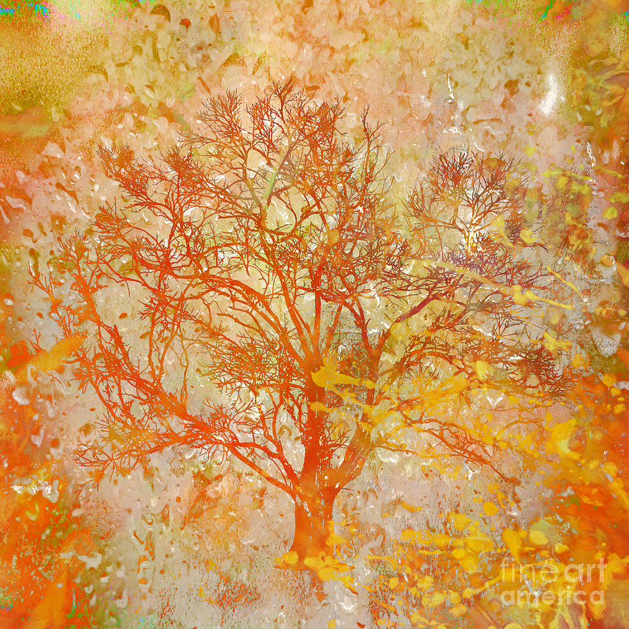 My Tree Still Bursting with The Joy of Autumn Mixed Media by Beverly ...