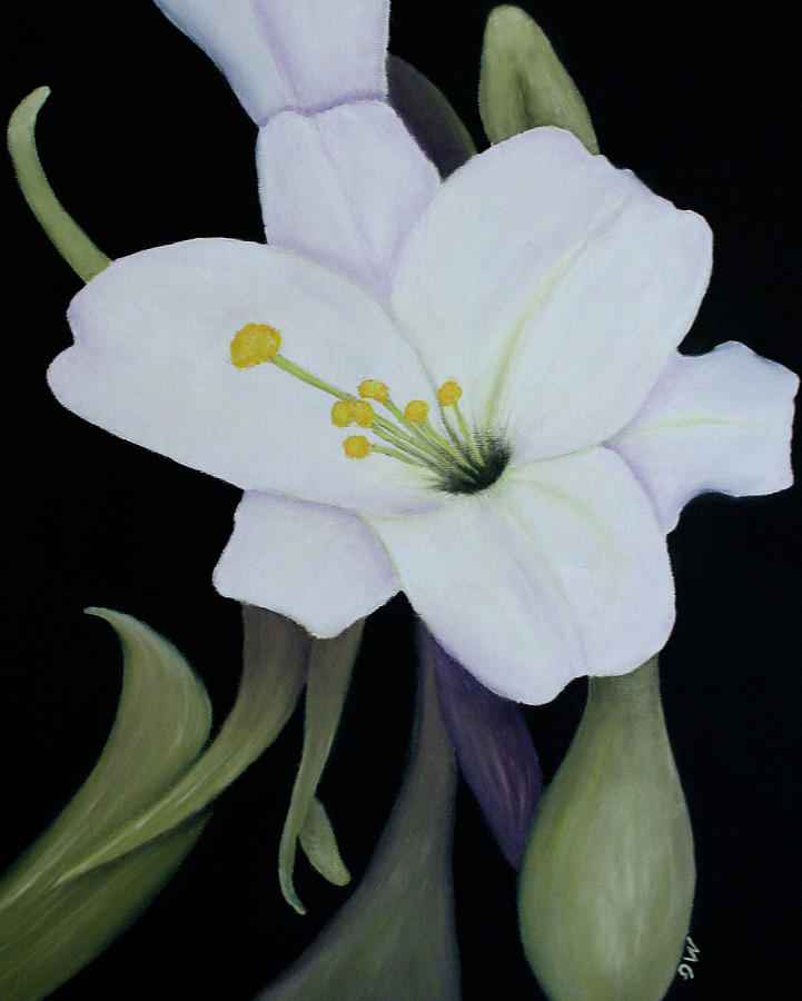 Lily Painting - My White Lily by Mary Gaines