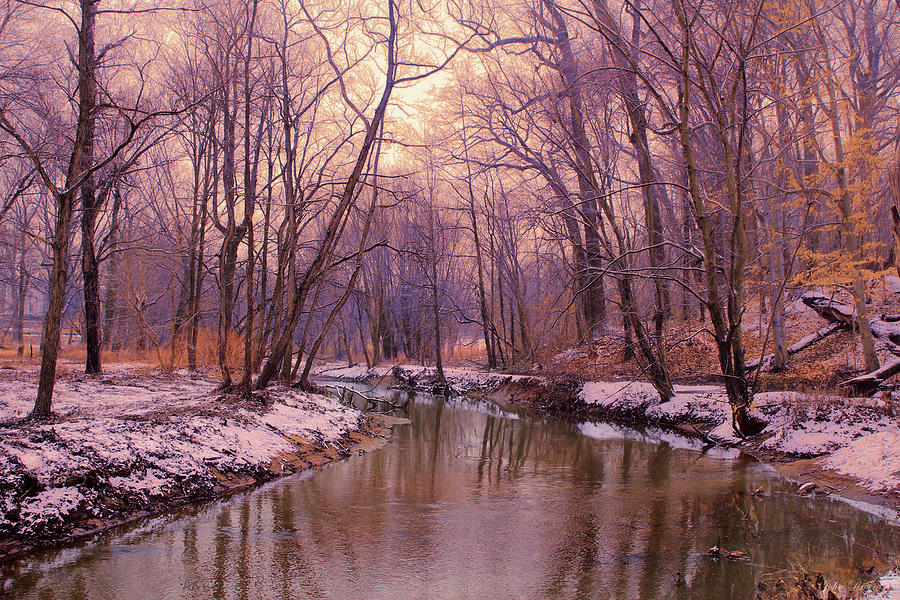 My Winter Morning Photograph by John Rivera