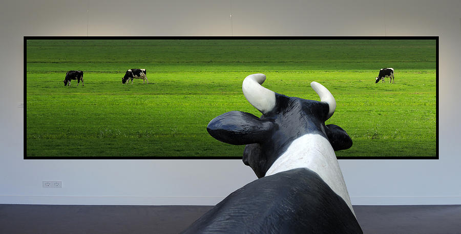 Cows Photograph - My Wish: I Was Grazing There Myself...! by Huib Limberg
