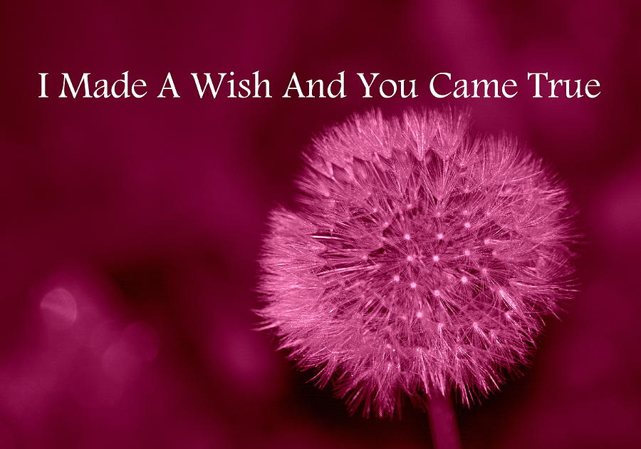 My Wish Photograph by Kimberly Woyak