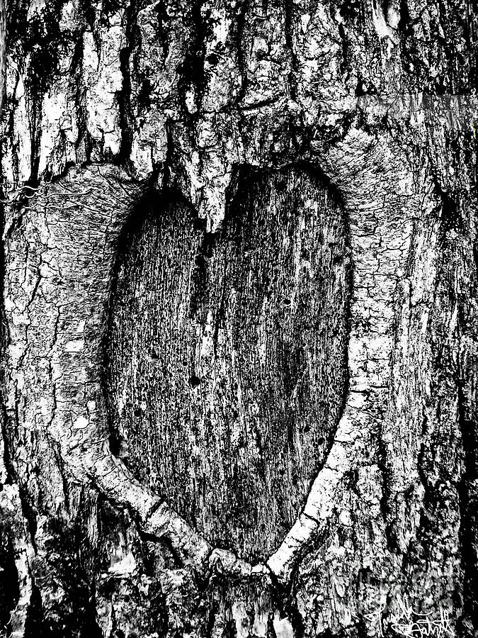My Wood heart  Photograph by Priscilla Batzell Expressionist Art Studio Gallery