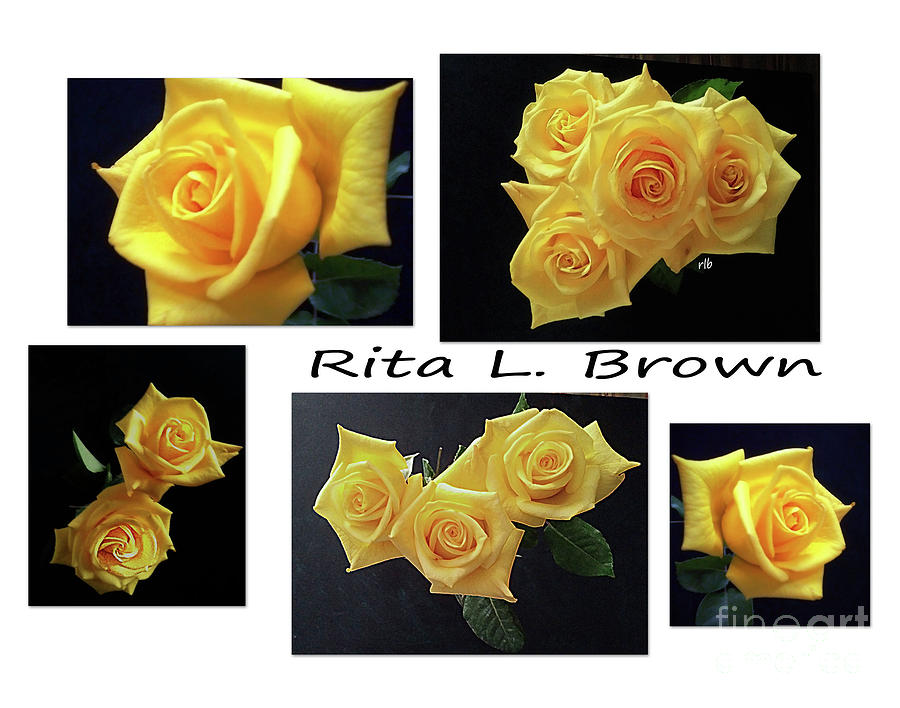 My Yellow Roses Photograph by Rita Brown
