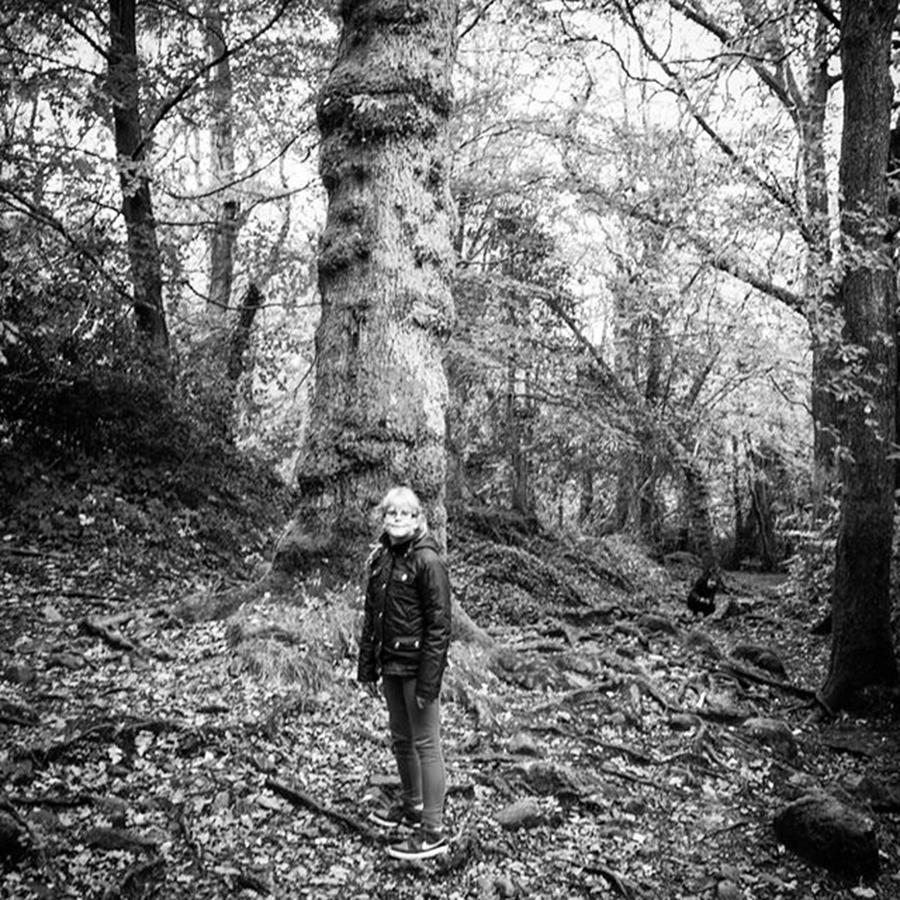 Tree Photograph - Mya On A Hike In Northern Ireland by Aleck Cartwright