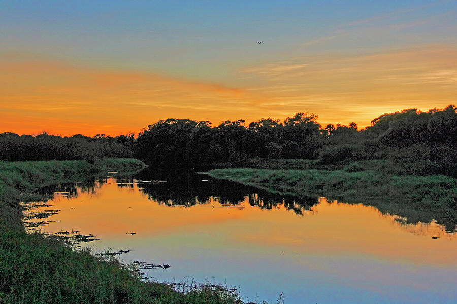 Myakka River State Park Sunset By H H Photography Of Florida Photograph