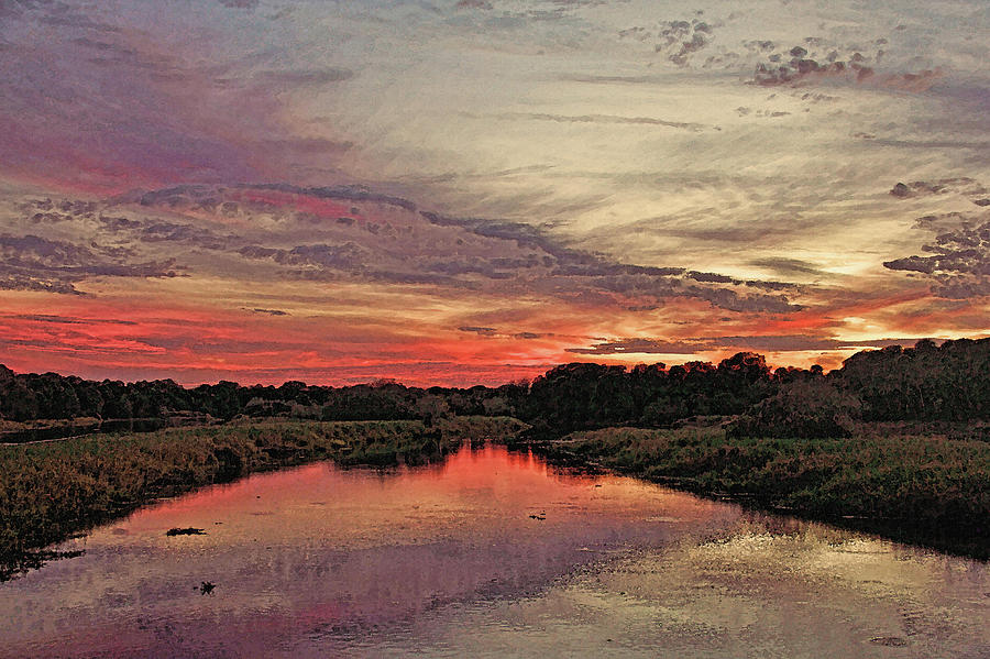 Myakka River Sunset By H H Photography Of Florida Photograph By Hh