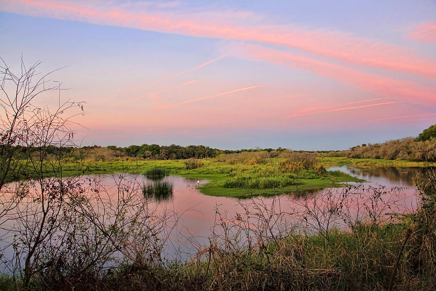 Myakka Wetlands by H H Photography of Florida Photograph by HH Photography of Florida