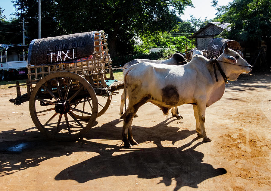 Myanmar Mass Transit by Rochelle Sjolseth Myanmar Mass Transit by Rochelle Sjolseth