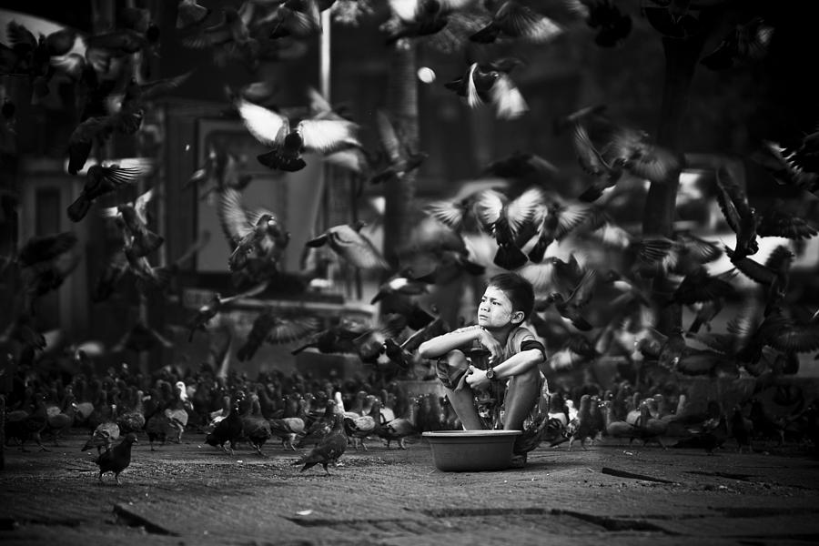 Myanmars Boy With Pigeons Photograph by Marcin Bublewicz
