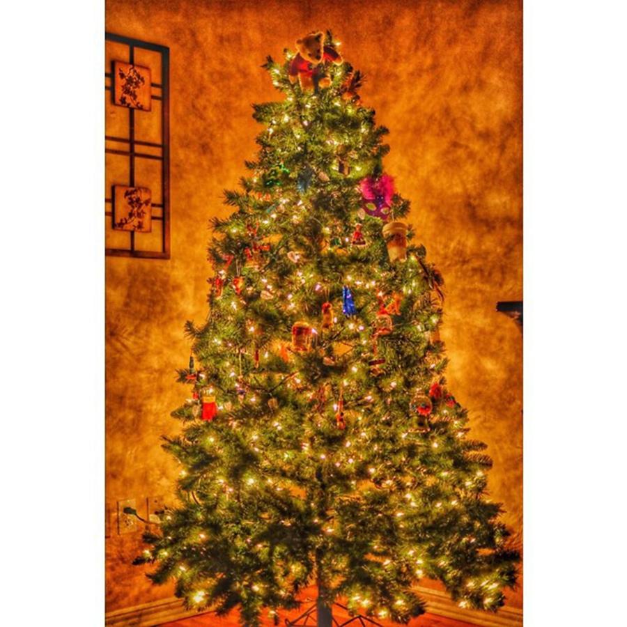 Elf Photograph - #myhouse #myhome #tree #christmas by David Haskett II
