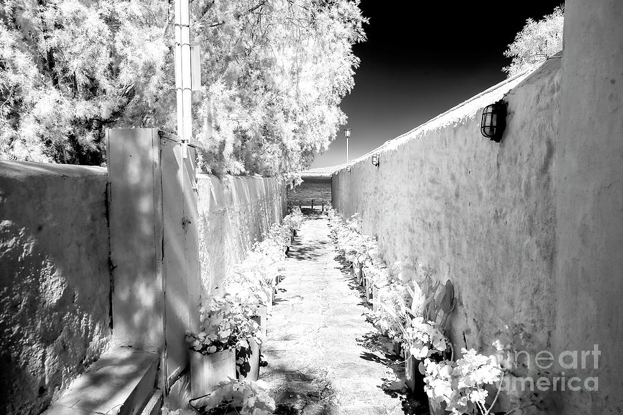Mykonos Path to the Sea infrared Photograph by John Rizzuto