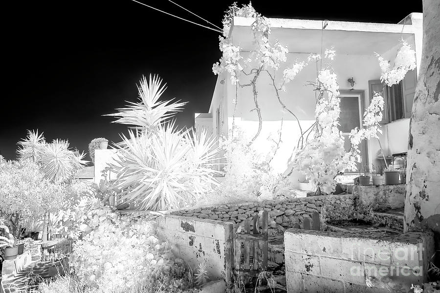 Unique Photograph - Mykonos Town Plants infrared by John Rizzuto