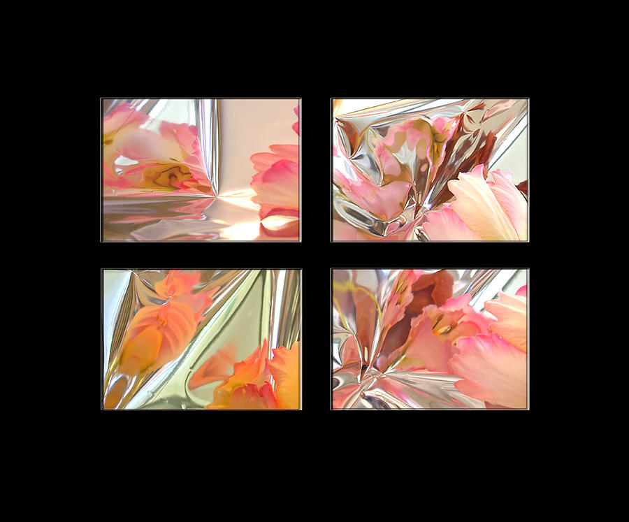 Tulips Photograph - Mylar Reflections Of Tulips by Patricia Whitaker Tulips Photograph - Mylar Reflections Of Tulips by Patricia Whitaker