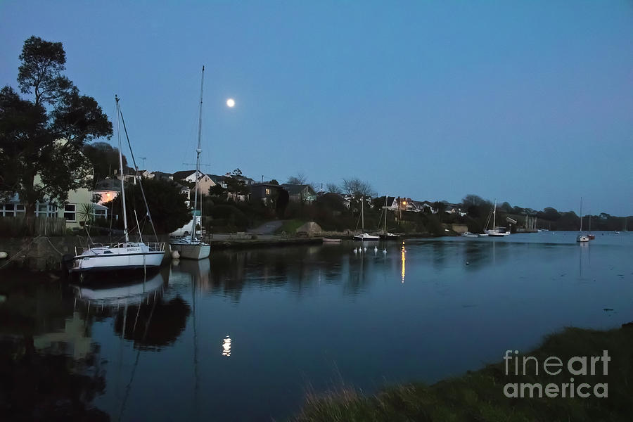 Mylor Creek Moonrise with Swans Photograph by Terri Waters