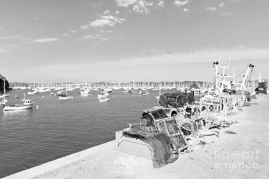 Mylor Quay in Cornwall Monochrome Photograph by Terri Waters
