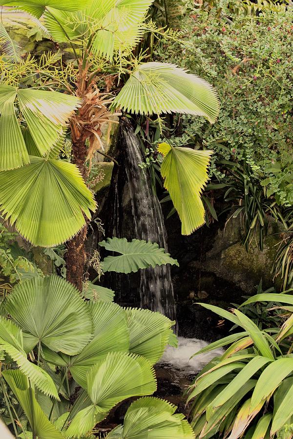 Myriad Botanical Gardens Waterfall Photograph by Sheila Brown