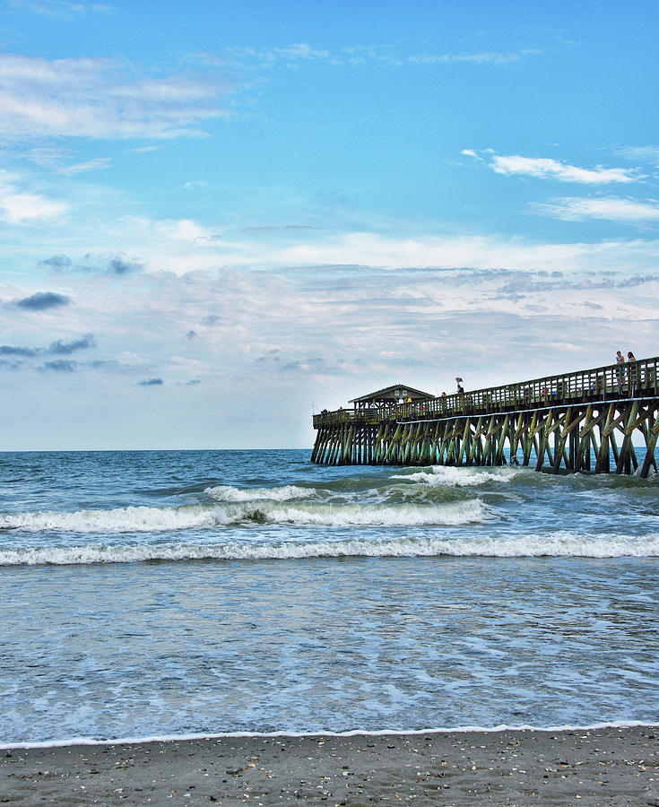 Myrtle Beach State Park - SC Photograph by Brendan Reals