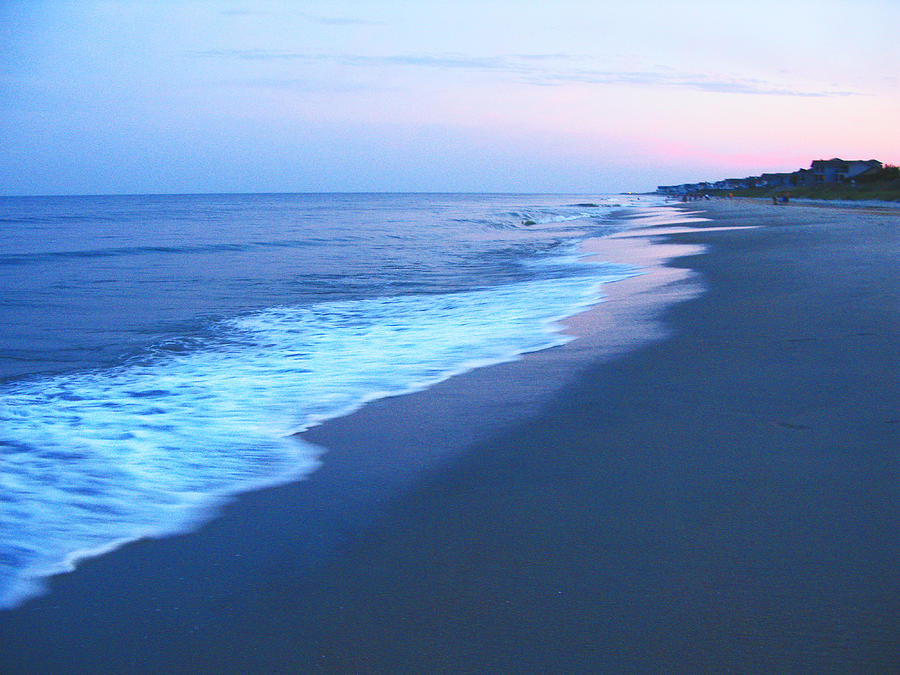 Myrtle Beach Sunset Photograph by Richard Singleton