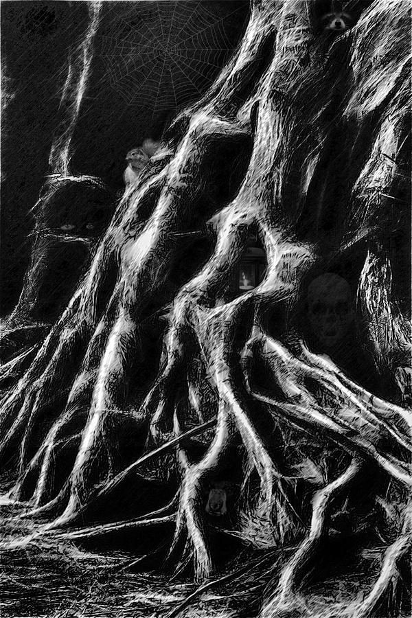 Mysterious Dark Forest Digital Art by John Haldane