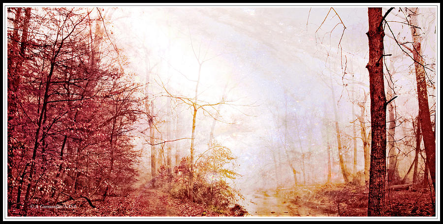 Mysterious Misty Forest Fantasy, Autumn Photograph by A Macarthur Gurmankin