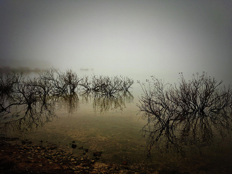 Mystery Amidst the Fog II Photograph by Doris Aguirre
