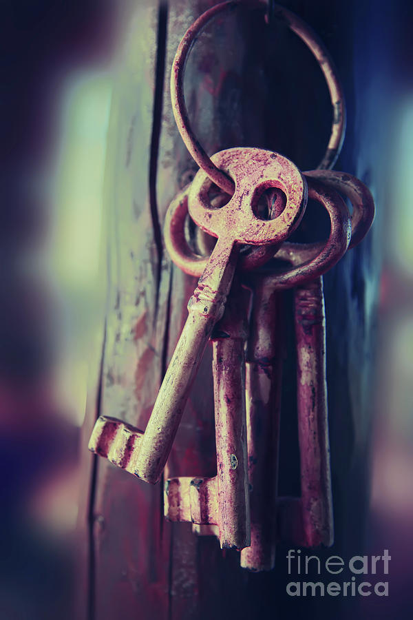 Mystery Keys Photograph by Ariadna De Raadt