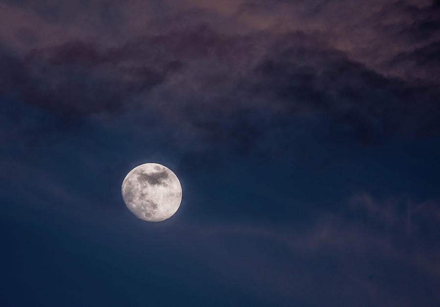 Mystery Moon Photograph by Jody Partin