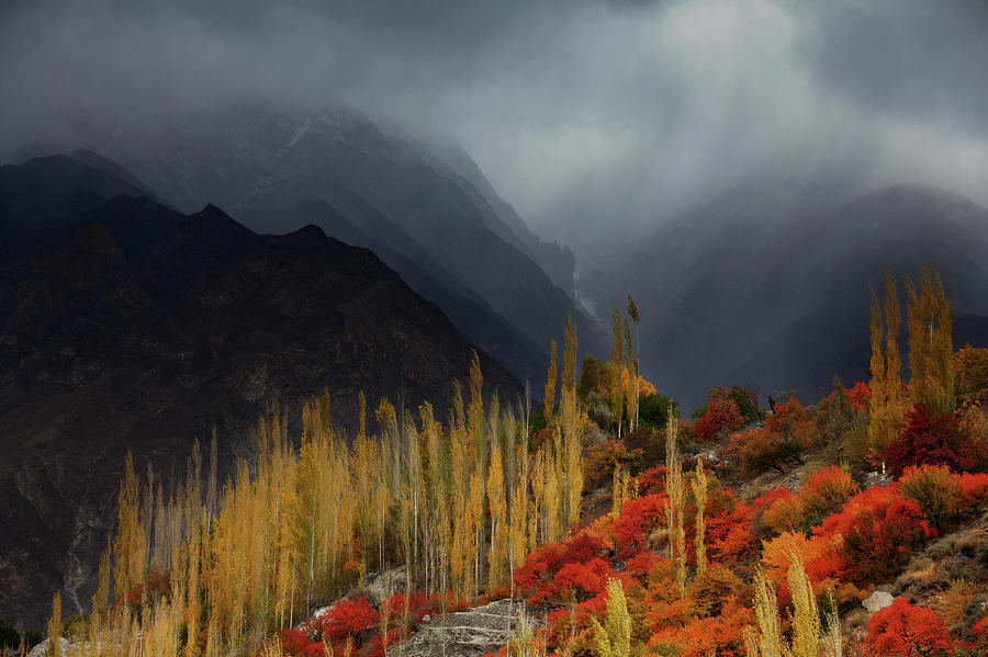 Mist Photograph - Mystery Mountains by Awais Yaqub Mist Photograph - Mystery Mountains by Awais Yaqub