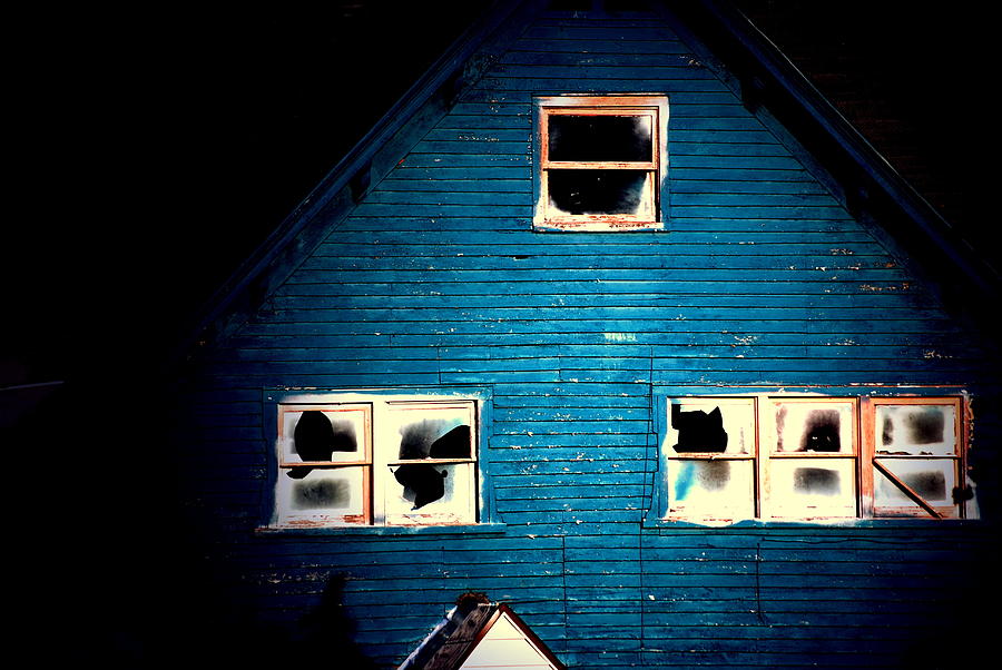 Mystery Of The Blue House Photograph By Emily Stauring