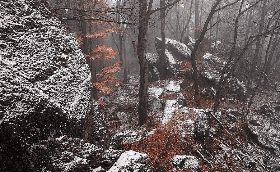 Mystery of Winter Rocks Photograph by Jenny Rainbow