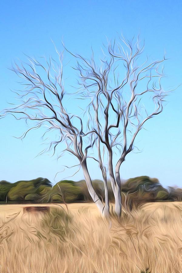 Tree Digital Art - Mystic Buishveld Trees - 3 by Dave Harcourt
