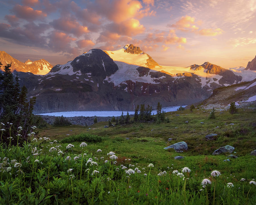 Mystic Meadows Photograph By Chris Moore - Fine Art America