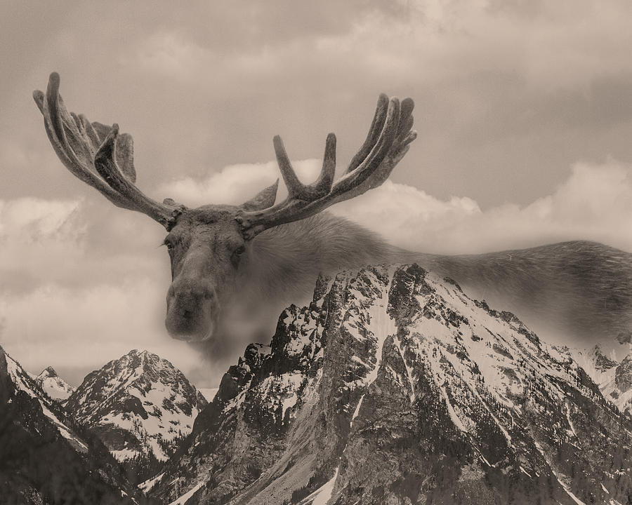 Mystic Mountain by Elaine Haberland Mystic Mountain by Elaine Haberland