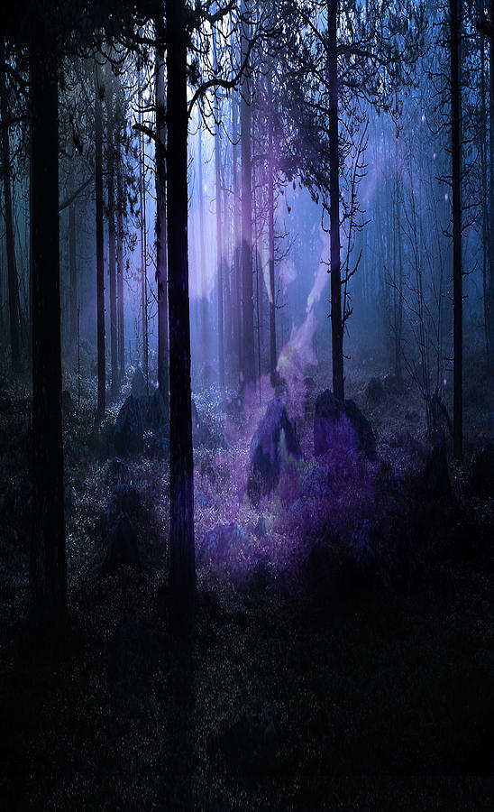 Mystic Night Digital Art by Jeserae Baisch - Pixels