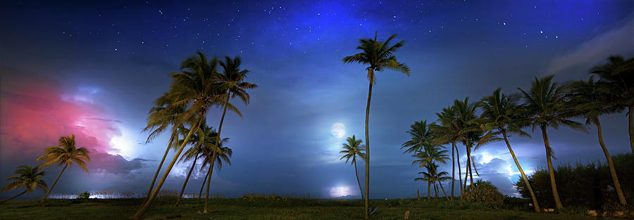 Mystic Night Photograph by Mark Andrew Thomas