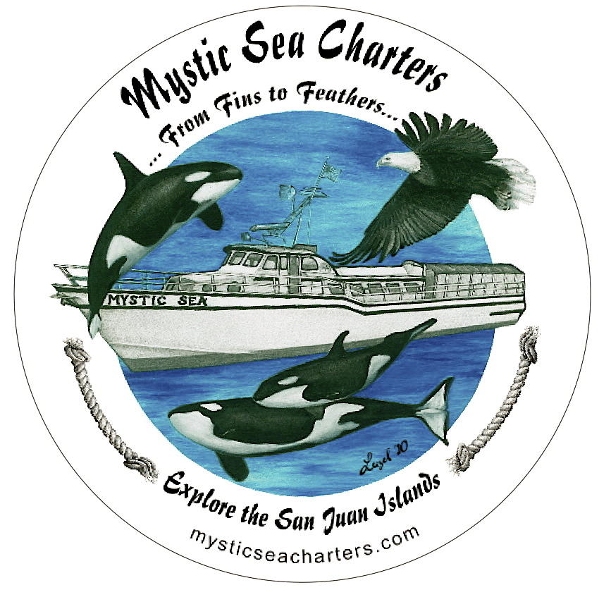Mystic Sea Charters Logo Digital Art by Leizel Grant