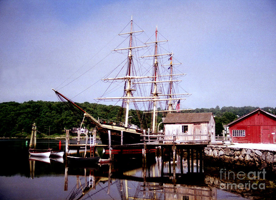 Whale Photograph - Mystic Seaport by Mark Grayden