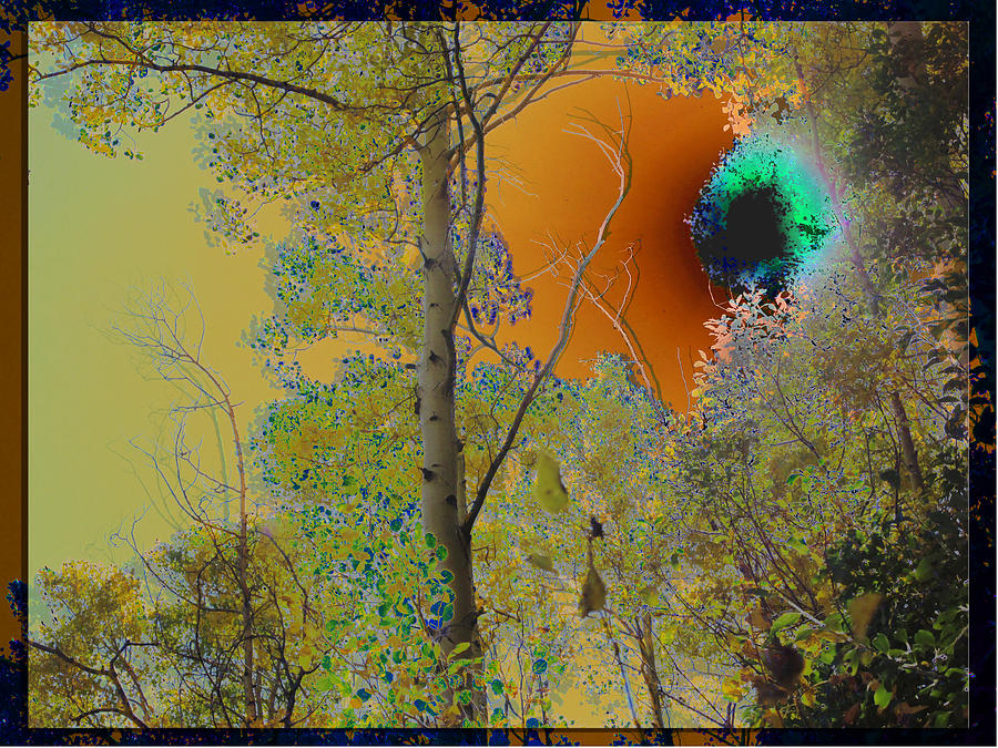 Mystical Aspens Photograph by Feather Redfox Mystical Aspens Photograph by Feather Redfox