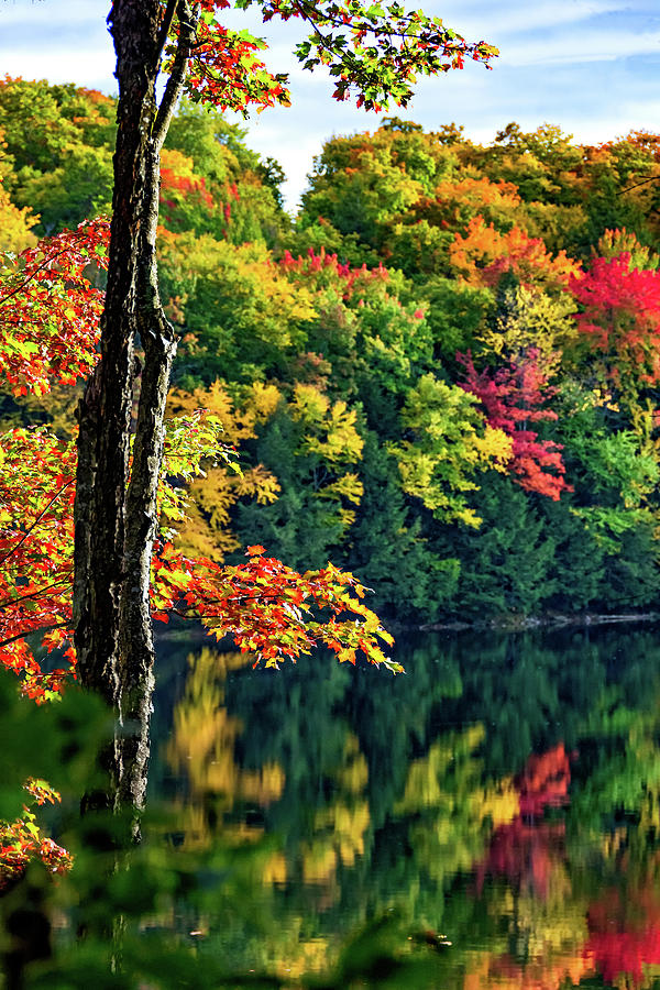 Mystical Autumn Photograph by Steve Harrington