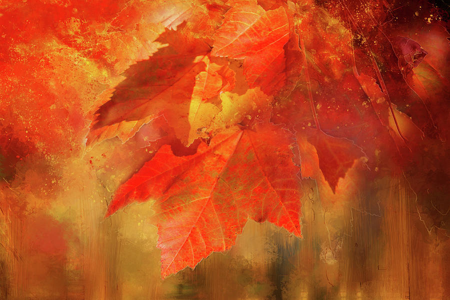 Mystical Autumn Digital Art by Terry Davis