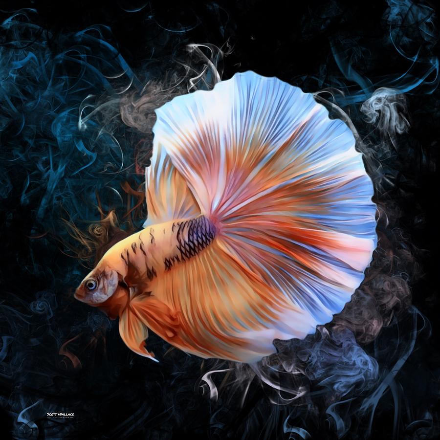 Mystical Betta Fish Digital Art by Scott Wallace Digital Designs