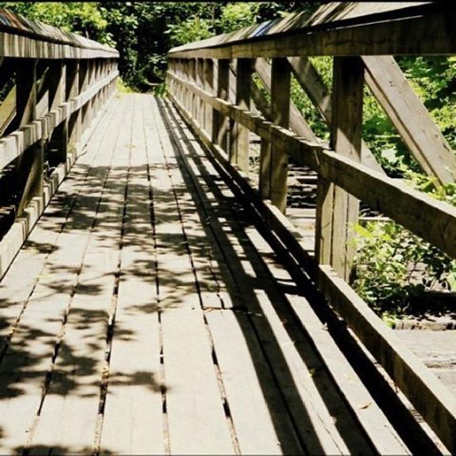 Bridge Photograph - Mystical Bridges On Magical Hikes by Fern Lodge
