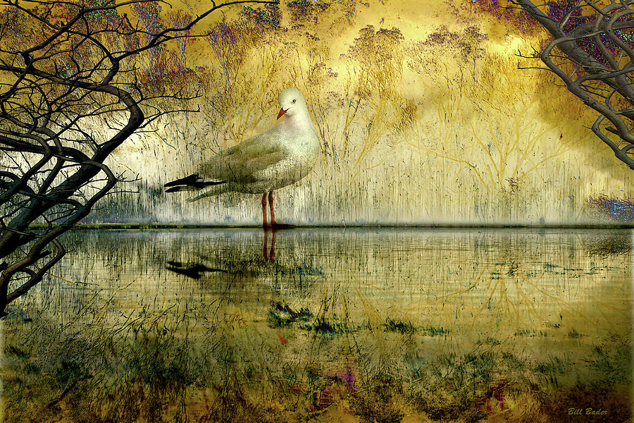 Landscape Digital Art - Mystical Gull by William Bader