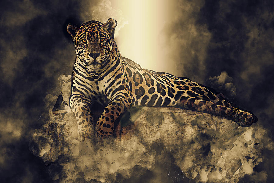 Mystical Jaguar on a Rock Painting by Elaine Plesser - Fine Art America