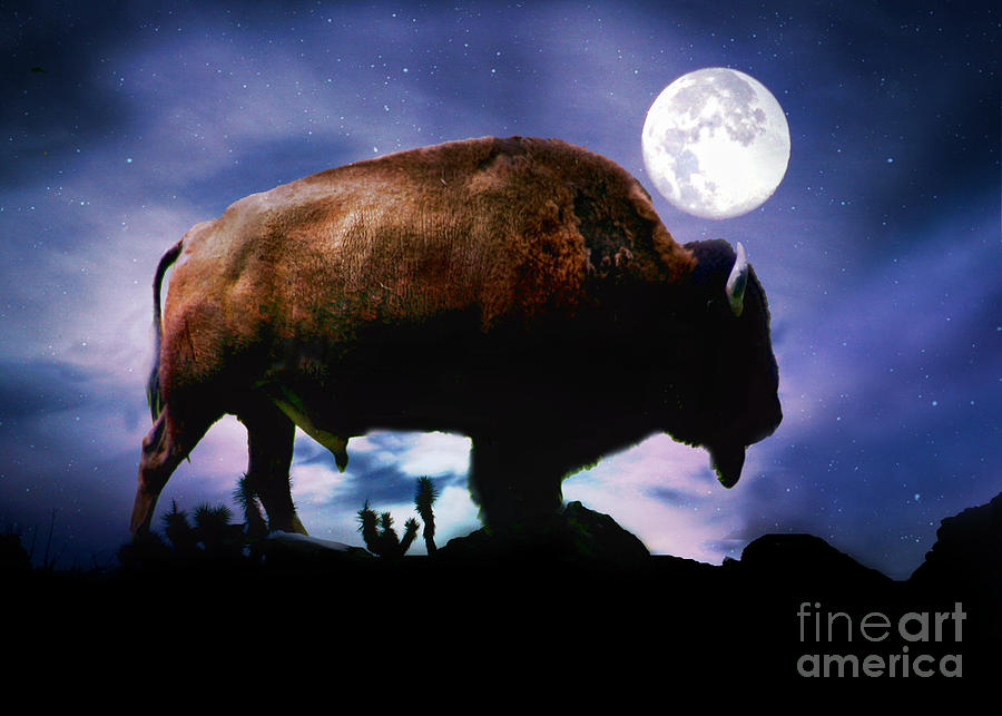 Mystical Magical Native American Buffalo and Moon Photograph by Stephanie Laird