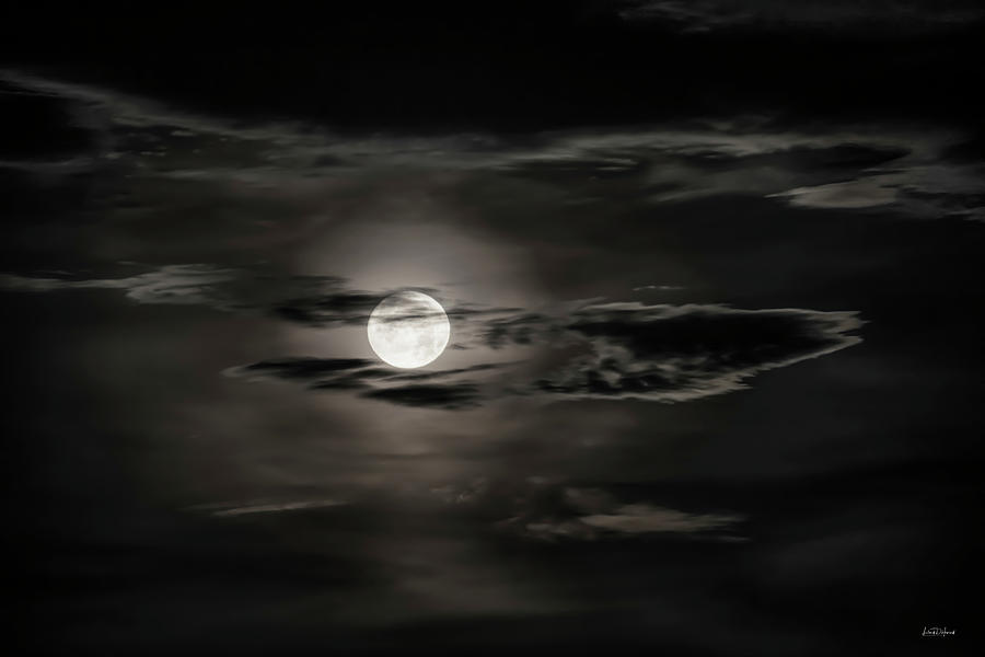 Mystical Moon Photograph by Leland D Howard