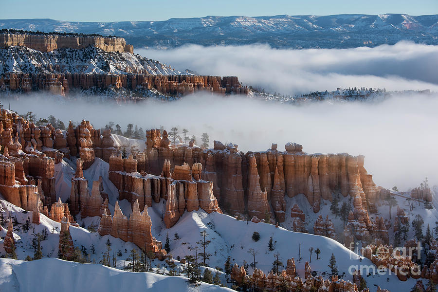 Mystical Morning at Bryce Canyon, Utah Photograph by Sandra Bronstein